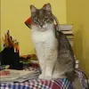 Отзыв от Марина Парфенова